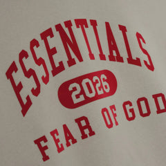 fear_of_god_essentials_classic_hoodie_smoke_grey_2025_3