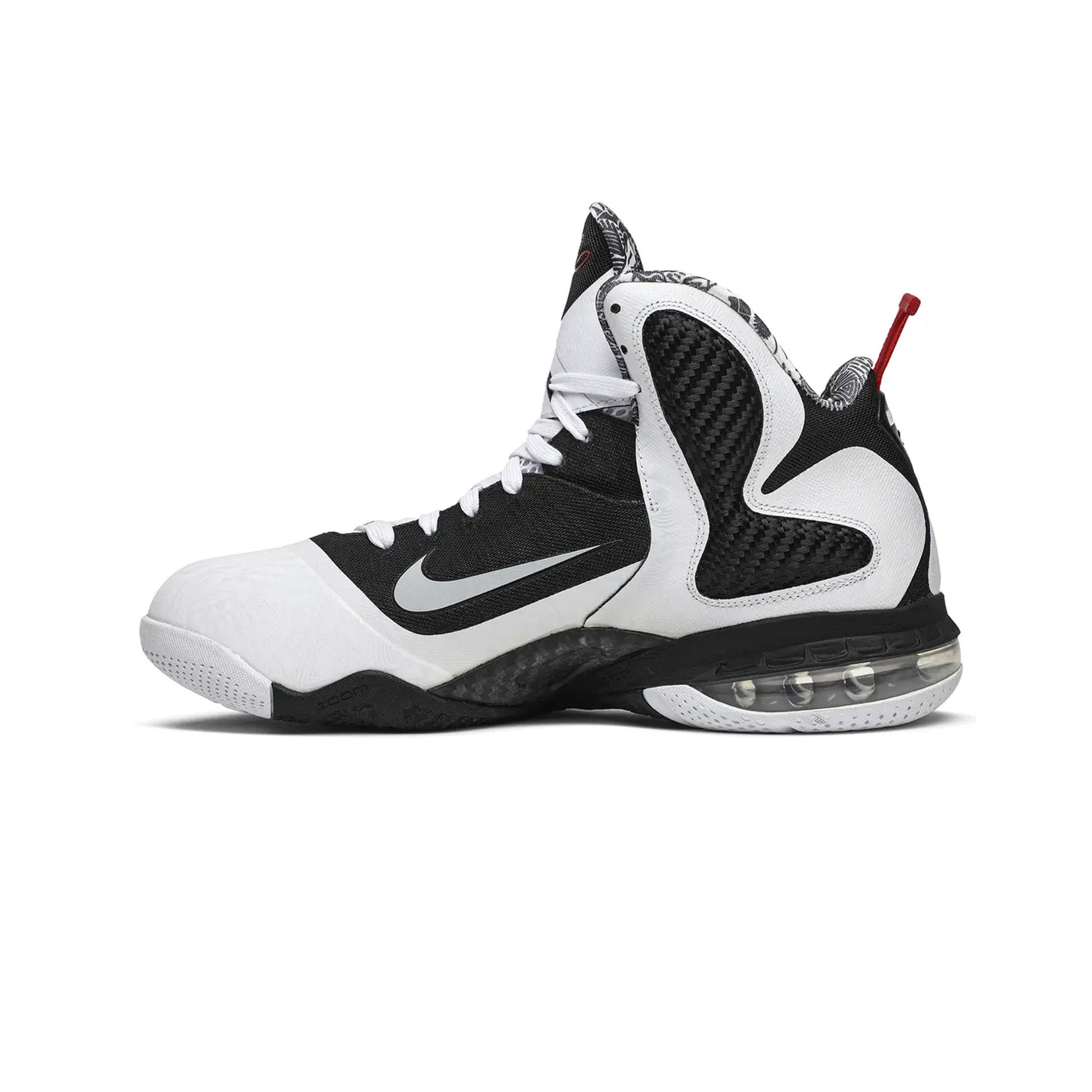 Nike LeBron 9 Freegums 2011 PUSHAS