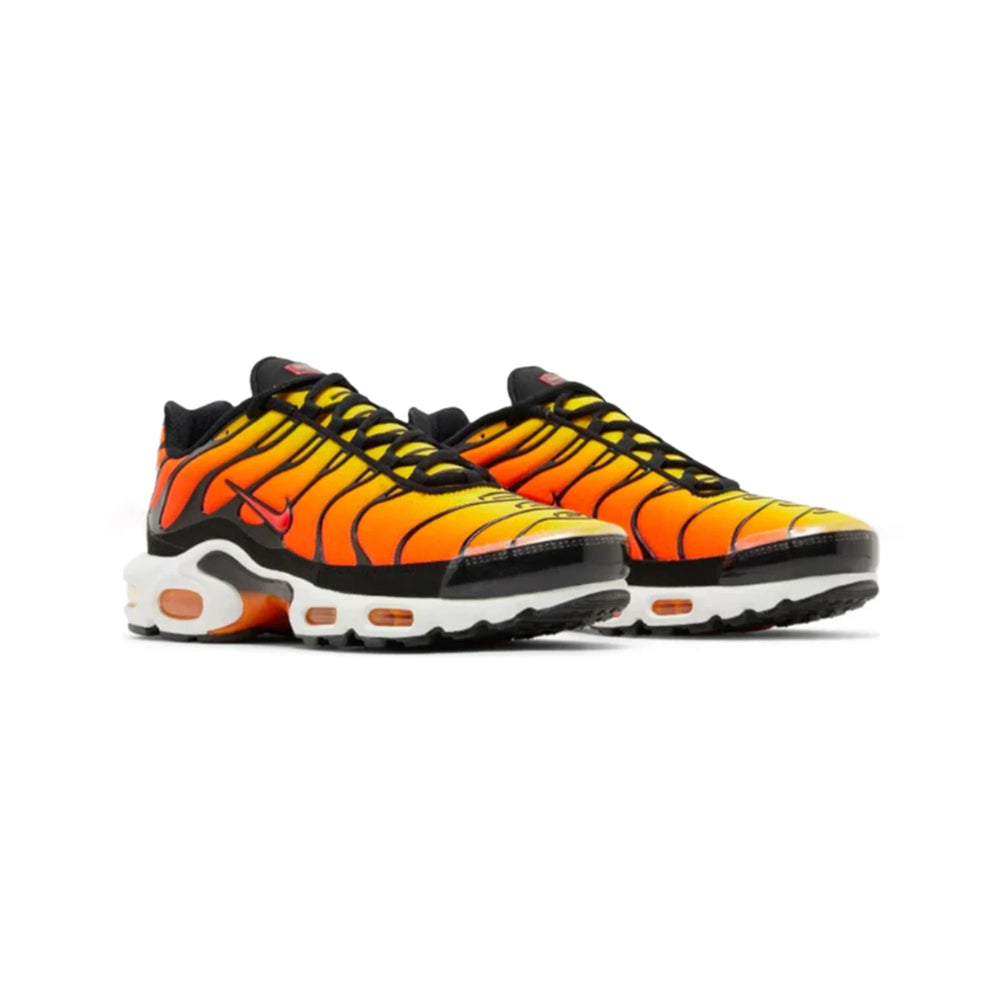 air_max_tn_plus_tiger_2
