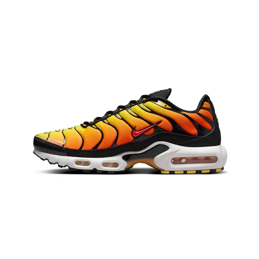 air_max_tn_plus_tiger_3