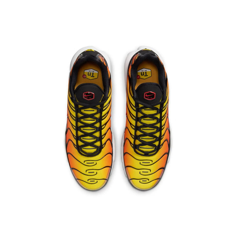 air_max_tn_plus_tiger_4