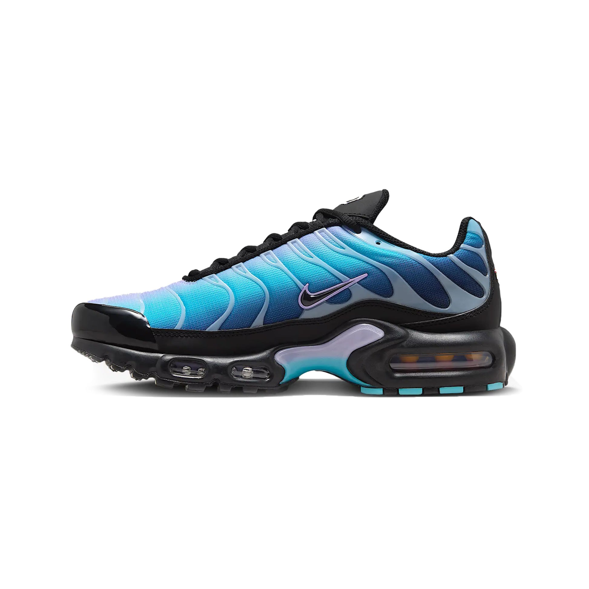 Nike-Air-Max-Plus-TN-Black-Hydrangeas-Womens