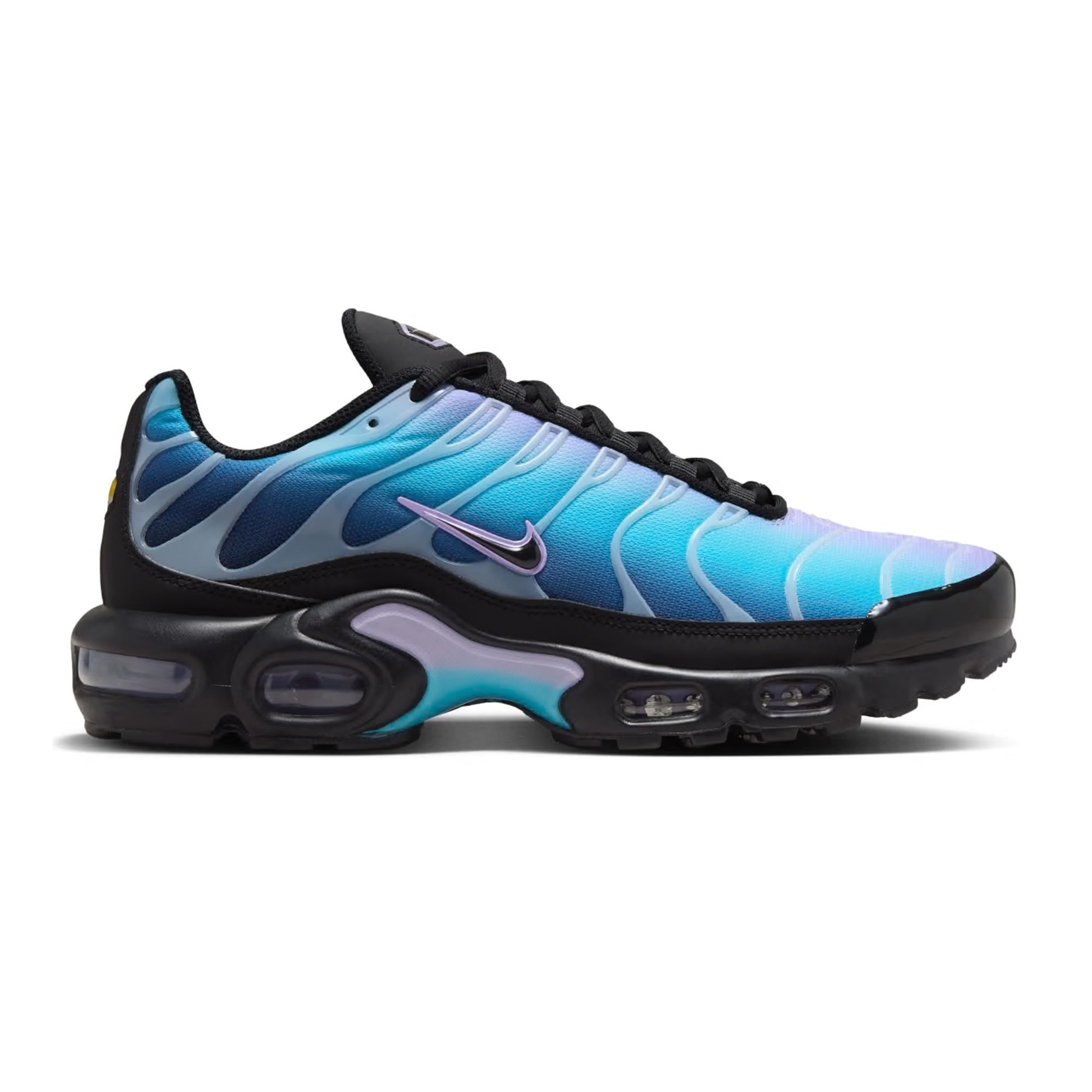 Nike Air Max Plus TN Black Hydrangeas Women s PUSHAS