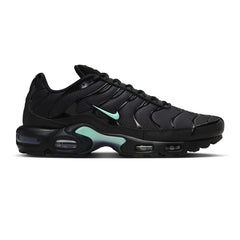 nike_air_max_plus_tn_black_mint_green_2023_1