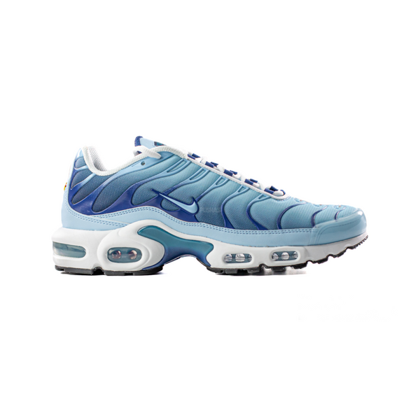 Nike Air Max Plus TN Celestine Blue Women s PUSHAS