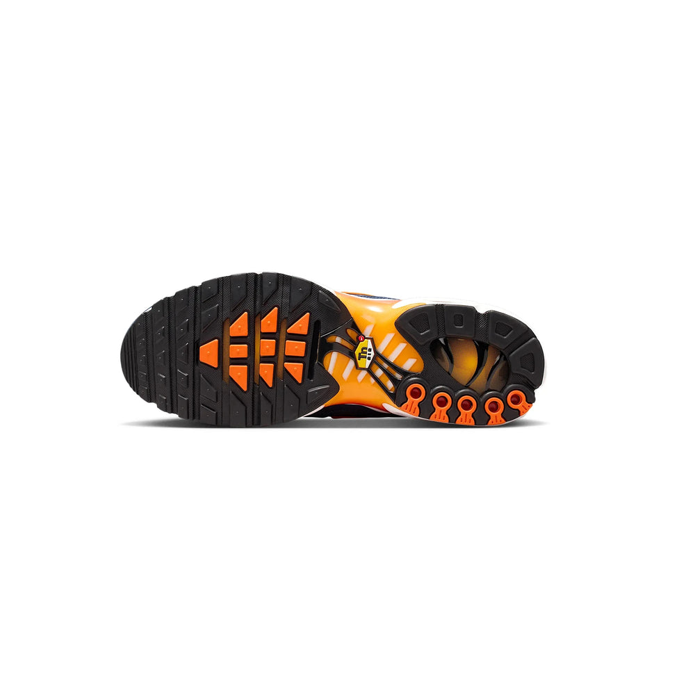 nike_air_max_plus_tn_syracuse_2021_8