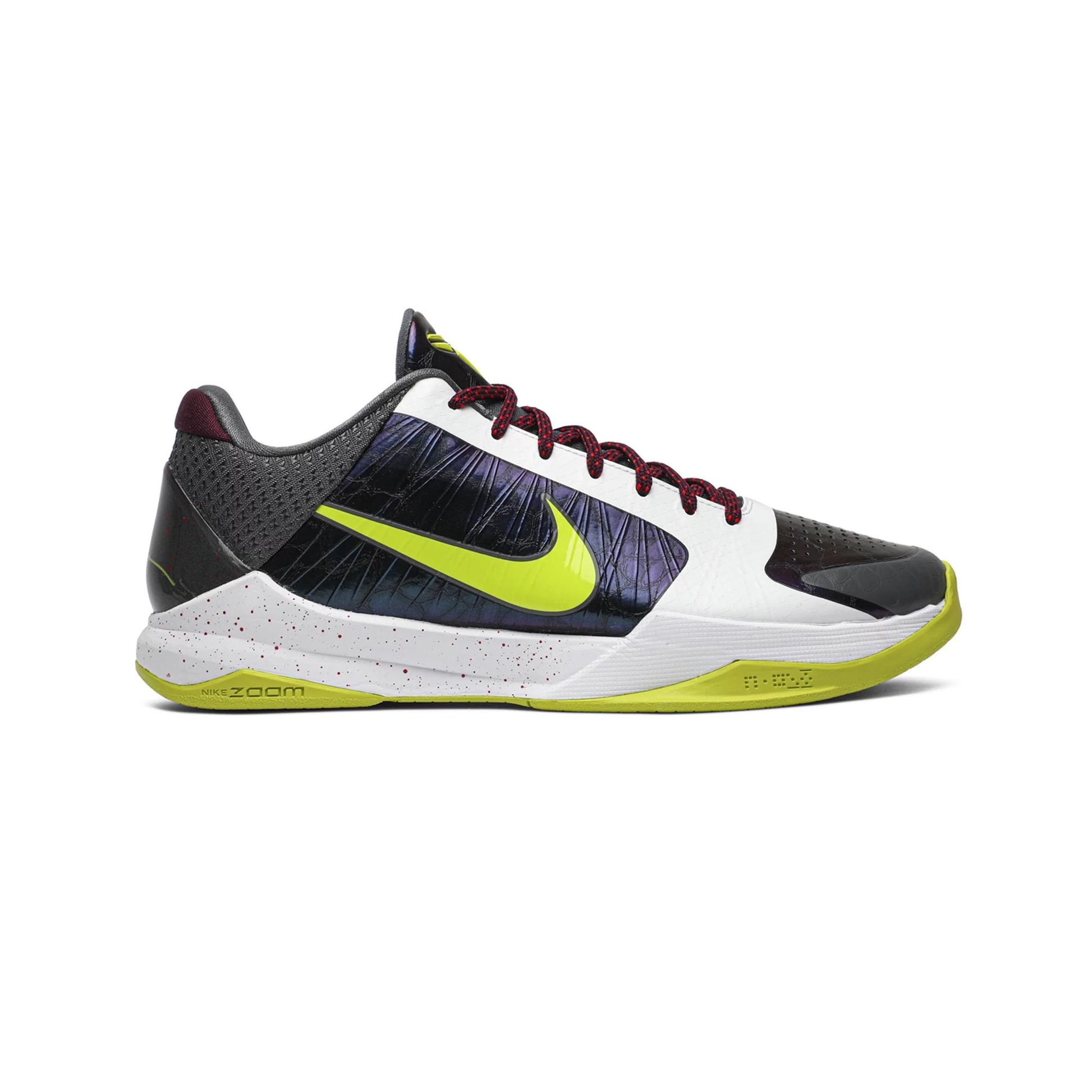 2019 kobes clearance