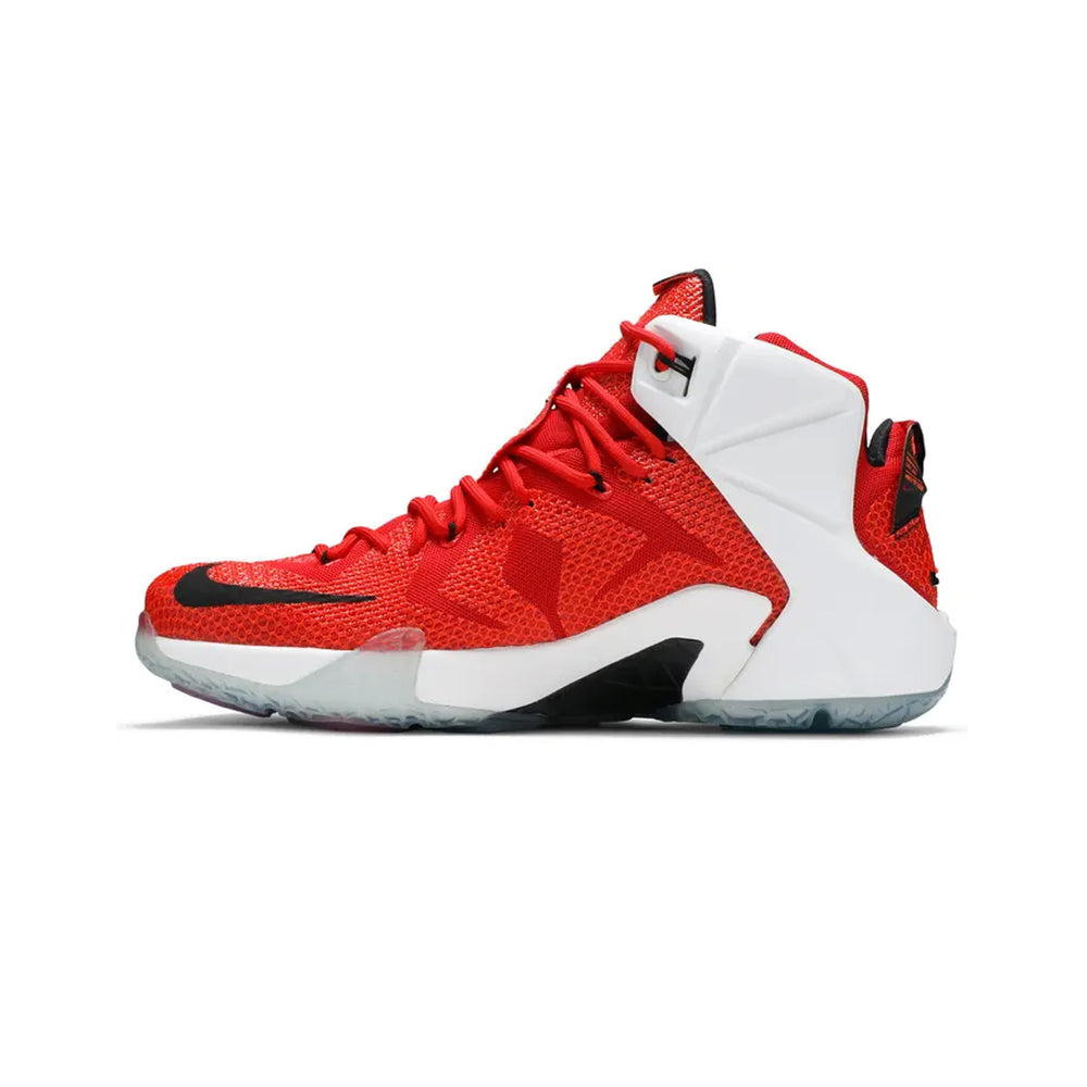 Nike-LeBron-12-Heart-of-a-Lion-2014-3