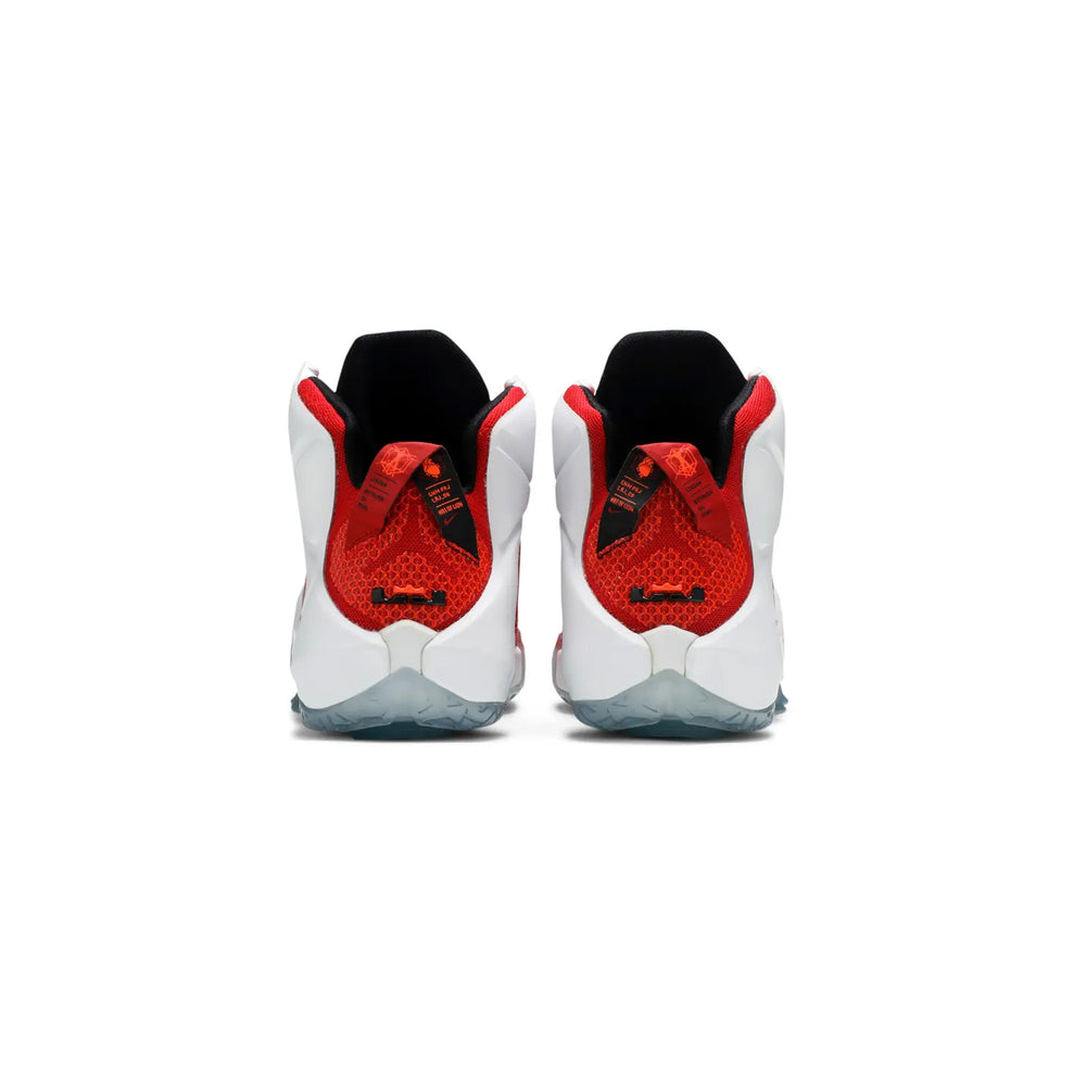 Nike-LeBron-12-Heart-of-a-Lion-2014-4
