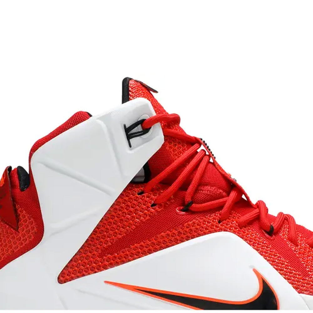 Nike-LeBron-12-Heart-of-a-Lion-2014-6