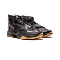 nike_lebron_13_black_lion_2016_2
