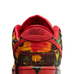 Nike-SB-Dunk-Low-'The-Wizard-of-Oz-Poppy-Field'-(2024)-back-close-up