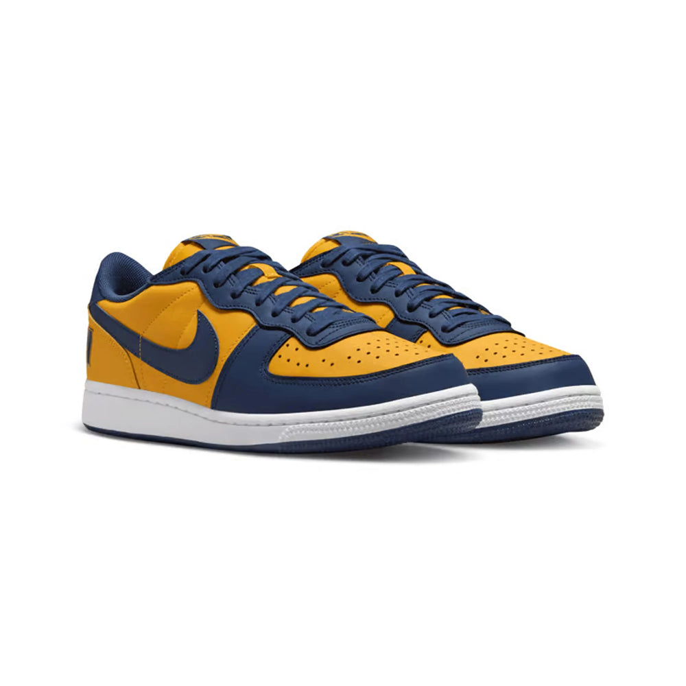 nike_terminator_low_michigan_2023_2