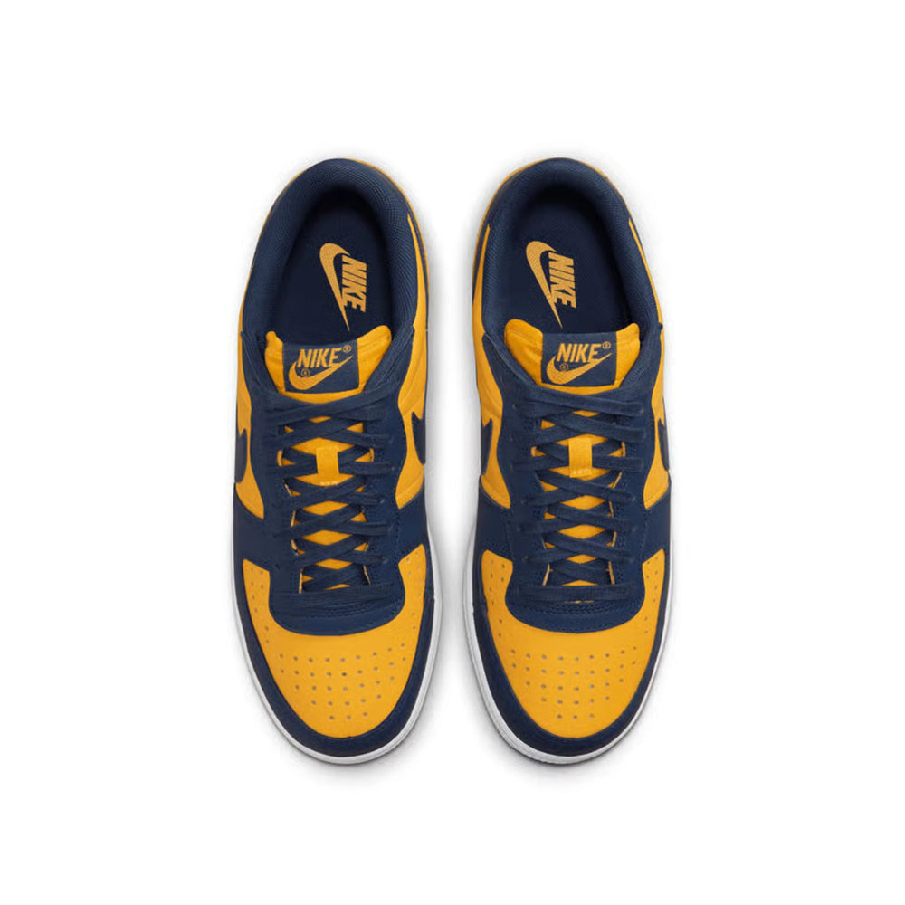 nike_terminator_low_michigan_2023_5