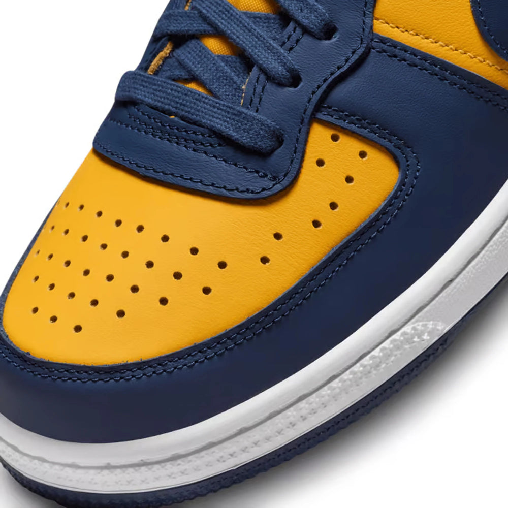 nike_terminator_low_michigan_2023_7