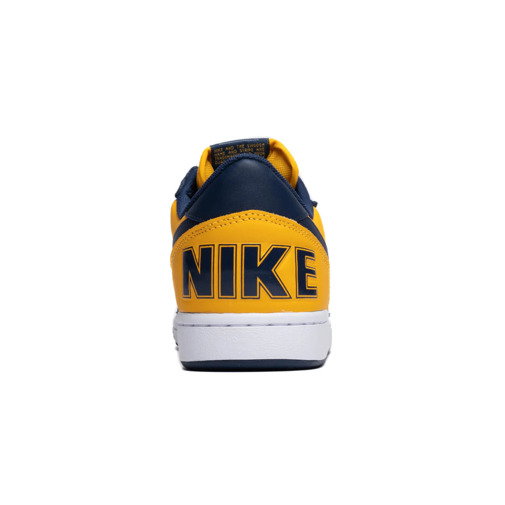 nike_terminator_low_michigan_2023_8