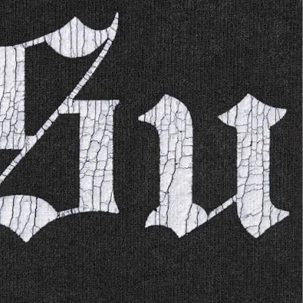 supreme_washed_old_english_hooded_sweatshirt_black_2025_2