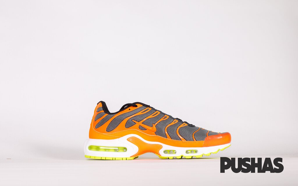 Air max tn prix hot sale